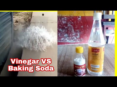 Baking Soda VS Vinegar reaction.Blast plastic bottle. ভিনেগারের সাথে বেকিং সোডা মিশালে কি হবে?