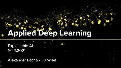 Applied Deep Learning 2021 - Lecture 11 - Explainable AI