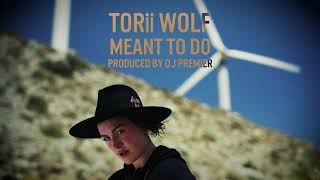 Watch Torii Wolf Meant To Do video