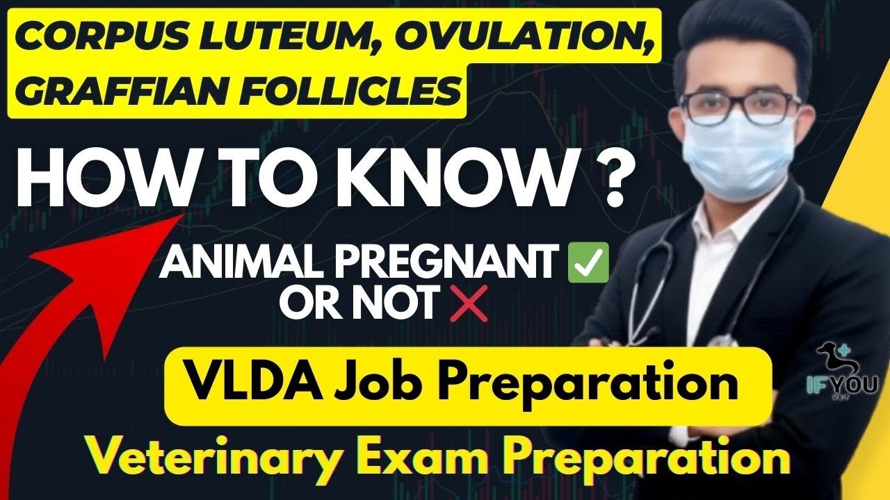 VLDA भर्ती 🚨Preparation || VLDA Job Preparation ✅ || Ovulation, Corpus Luteum, Graffian Follicles 