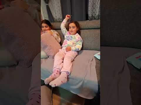 القطة  شوكولا    