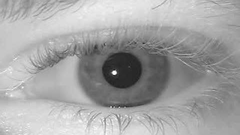 Iris Recognition Camera