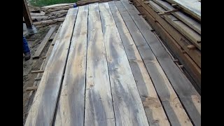 Sawing Lightning Struck Trees Into Lumber