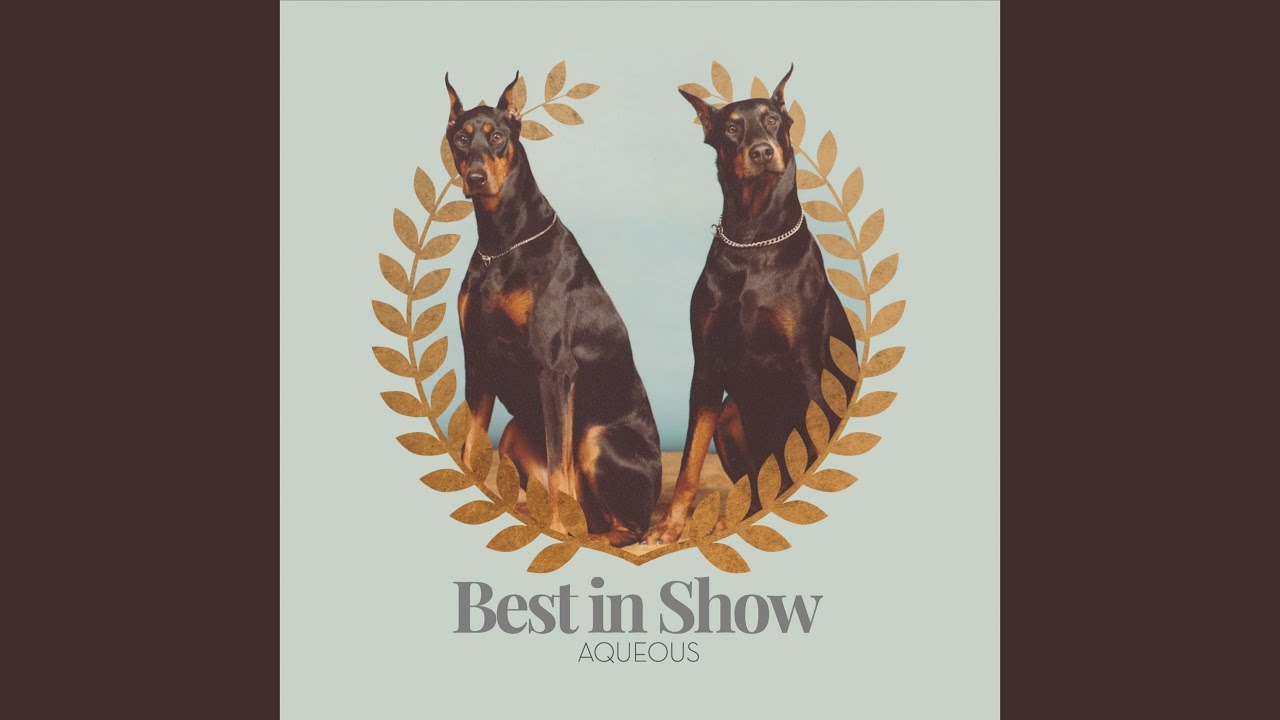 Underlyer adlı videoyu YouTube'da izle Underlyer adlı videoyu YouTube'da izle