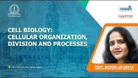 Cell biology : Cellur Organization, Division and Processes | Week 3 Quiz | Assignment 3 Solution