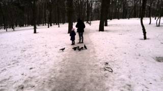 VID_20130301_113002