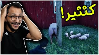 محاكي المزارع #16 | تغيير جذري في مزرعتنا الرهيبه! Ranch Simulator