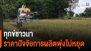 ทุกข์ชาวนา ราคาปัจจัยการผลิตพุ่งไม่หยุด : จับสัญญาณเศรษฐกิจ