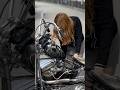 【Harley-Davidson】1955fl chopper kick start