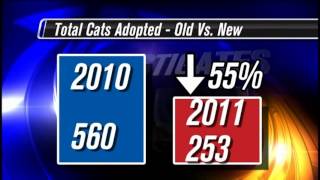 Lubbock's New Animal Shelter