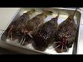 海辺の山菜採りと怪魚釣って料理