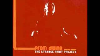 Vignette de la vidéo "The Strange Fruit Project - Maintain"