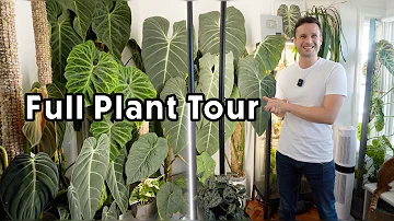 A CLOSER LOOK AT ALL OF MY PLANTS - full house & garden tour