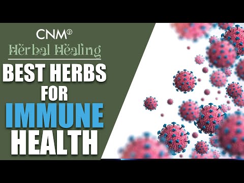 The Best HERBS for IMMUNE HEALTH! hqdefault