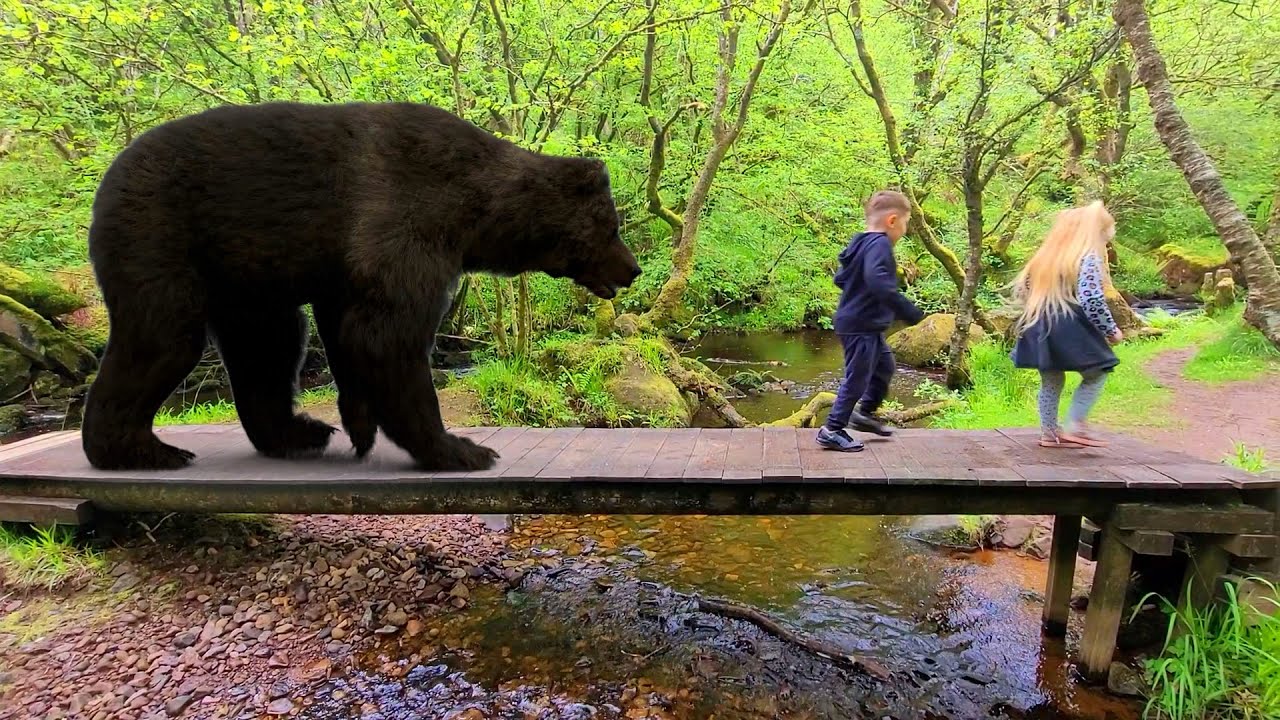 We're Going on a Bear Hunt Kids Fun Songs Nursey Rhymes YouTube