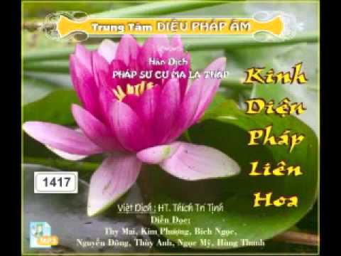 Video Kinh Diệu Pháp Liên Hoa Phần 2 - DieuPhapAm.Net.mp4 -... - youtube