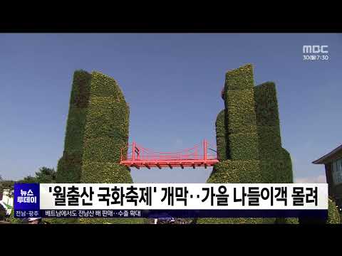 &amp;#39;월출산 국화축제&amp;#39; 개막..가을 나들이객 몰려[목포MBC 뉴스투데이]