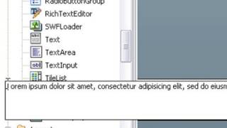 Live Flex 3 Training Part 3 (Building a Website)