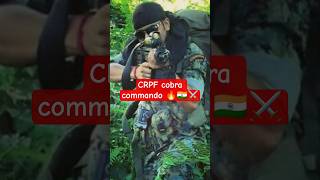cobra commando 🔥🇮🇳 ⚔️#crpf #viral #cobra #shorts