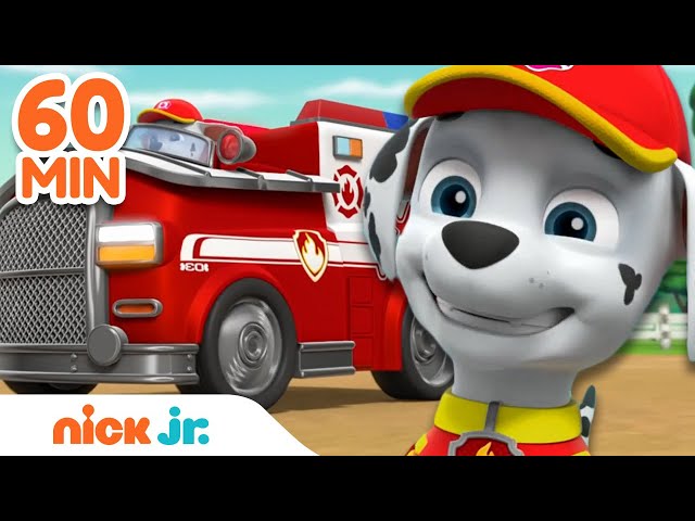 PAW Patrol Marshall Fire Rescues! | Hour Compilation | Nick - YouTube