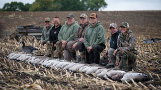 BIG Minnesota Honkers in Silage Field with VERY Tough Hide!!