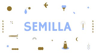 BAMBU Semilla Sesion de Grabacion en el Delta