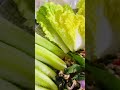 Minced pork salad ឡាបសាច់ជ្រូក #shortsfeed#shortvideo#foodie#recipe#spicy#yummy#challenge#food