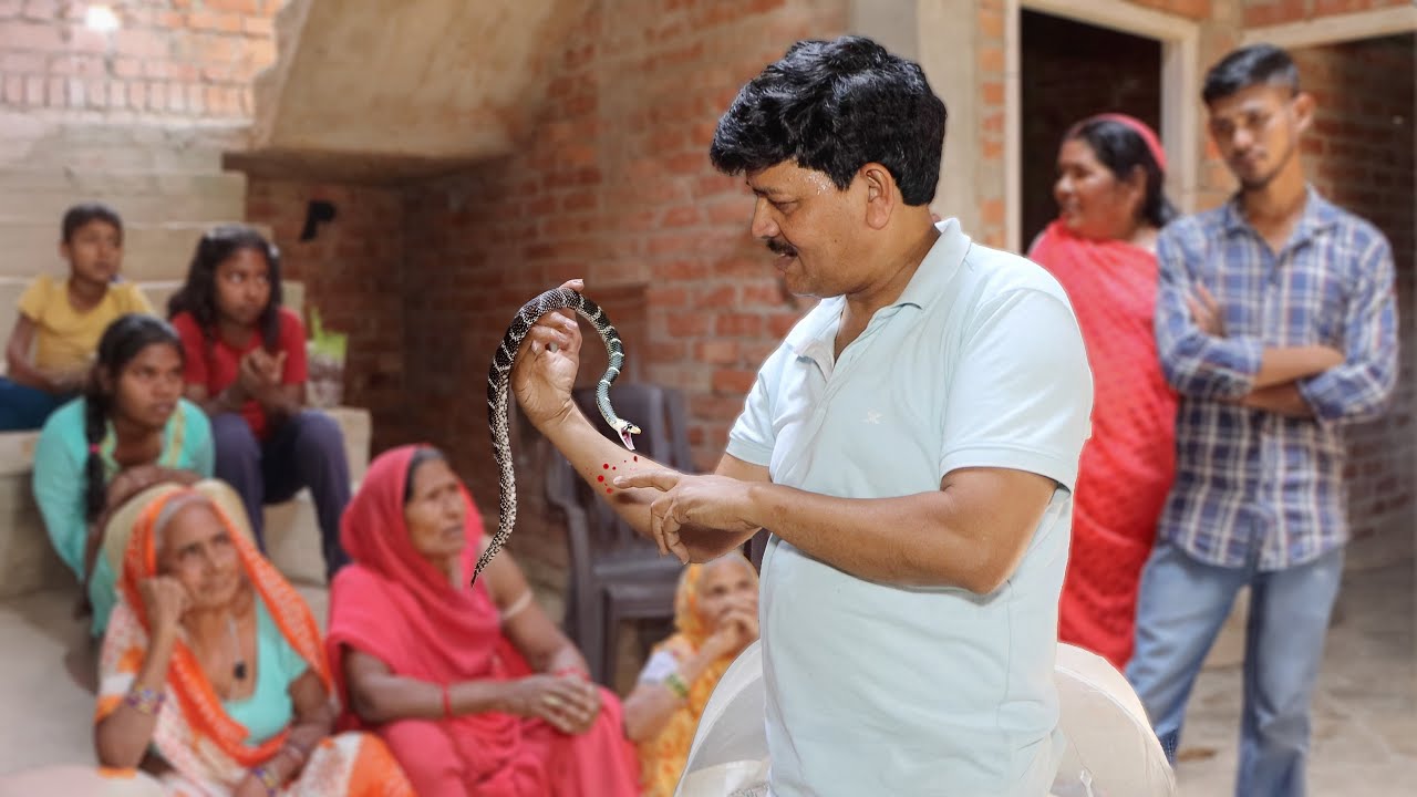 साँप के काटने के बाद Hospital में भर्ती हुआ शख़्स! Rescue के दौरान Guddu जी को भी हुआ Snake bite!