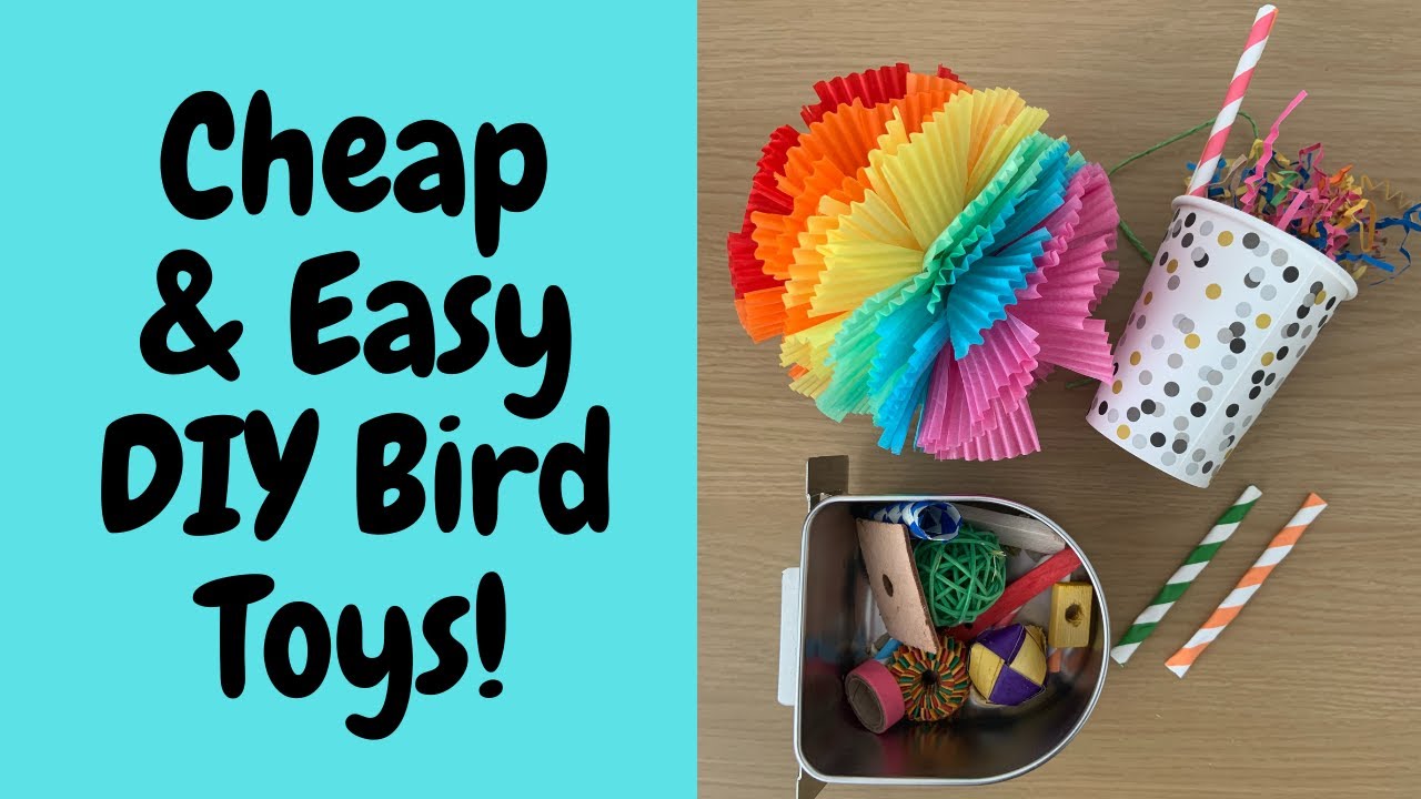 CHEAP DIY BIRD TOYS  DIY Dollar Store Bird Toys 