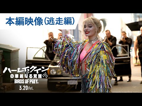 映画 ハーレイ クインの華麗なる覚醒 Birds Of Prey 本編映像 逃走編 年3月日 金 公開 Youtube