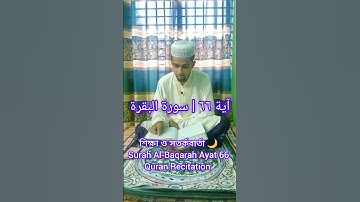 سورة البقرة آية 66 | Surah Al-Baqarah Ayah 66 | Beautiful Quran Tilawat 📖🕋✨