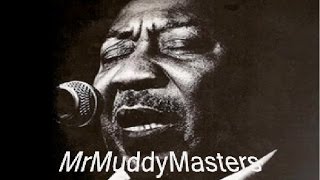 MUDDY WATERS, &quot;Screamin´ and Cryin´&quot;