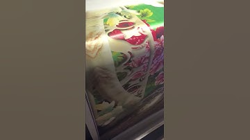 xưởng in tranh 3d cao cấp trên toàn quốc 0967453666