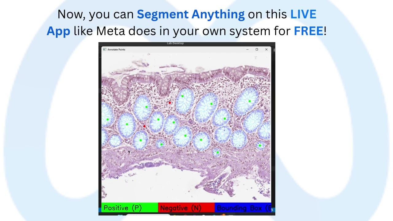 (Code Below) 𝐒𝐮𝐩𝐞𝐫𝐟𝐚𝐬𝐭 𝐒𝐞𝐠𝐦𝐞𝐧𝐭 𝐀𝐧𝐲𝐭𝐡𝐢𝐧𝐠 𝐨𝐧 𝐭𝐡𝐢𝐬 𝐅𝐑𝐄𝐄 𝐋𝐈𝐕𝐄 𝐀𝐩𝐩 𝐢𝐧 𝐲𝐨𝐮𝐫 𝐨𝐰𝐧 𝐬𝐲𝐬𝐭𝐞𝐦 𝐥𝐢𝐤𝐞 𝐌𝐞𝐭𝐚 𝐝𝐨𝐞𝐬
