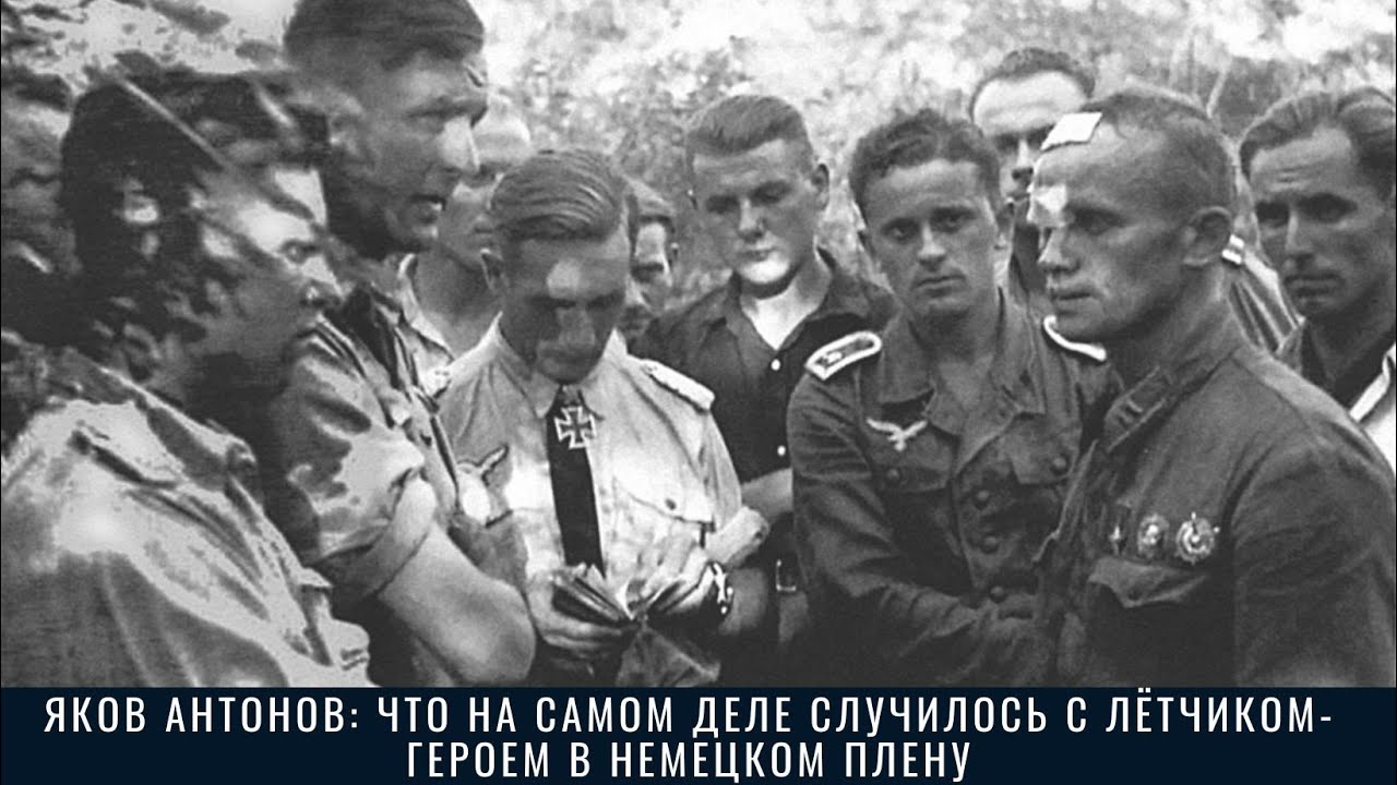 Лада антонова яков воспоминания
