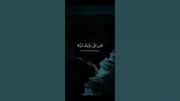 تلاوة هادئة ومريحة ❤️🎧| قران كريم بصوت القارئ عبد الرحمن مسعد#سبحان الله