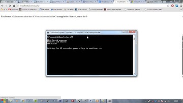 Making a .bat file run using PHP