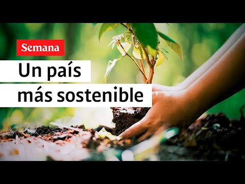 ¿Cómo trabaja Colombia para mitigar los efectos del cambio climático?