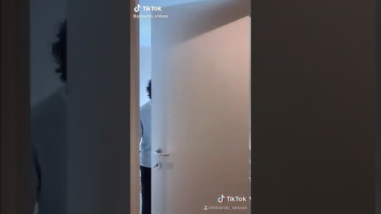 mai combattere contro un orso 🐻