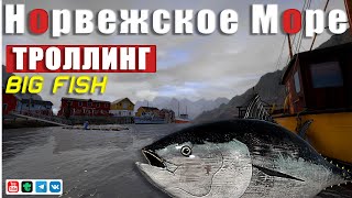 видео: Троллинг • BIG FISH • Русская Рыбалка 4 • Норвежское Море картинка: Троллинг • BIG FISH • Русская Рыбалка 4 • Норвежское Море