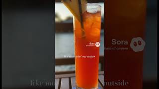 If you need me, I’ll be right here under the palms. 🥥⛵️ #SouthwestFlorida #SWFL #SunshineState