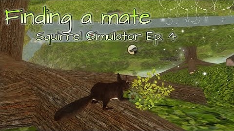 We get a mate | Squirrel Simulator 2 EP4