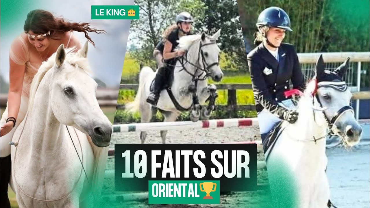 {SERIE} 10(9) FAITS SUR MON PONEY 🤍👑