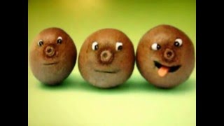 Funny Foods