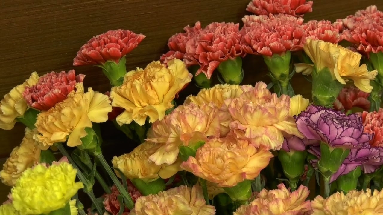 Ženy robia svet krajším