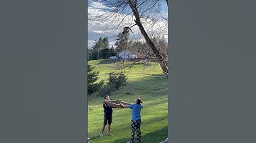 Kids Help Rescue Cat In A Tree || ViralHog