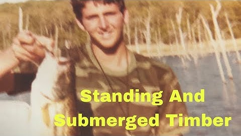 The Best Approach To Fish Standing And Submerged Timber…