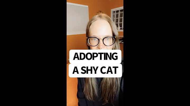 🙈 Adopting A Shy Cat