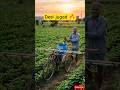 Cycle Spray Desi Jugad 😱#viral #farming #desijugaad #shorts