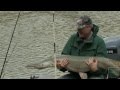 Fishing for Gargantuan Gar - Texas Parks and Wildlife [Official]